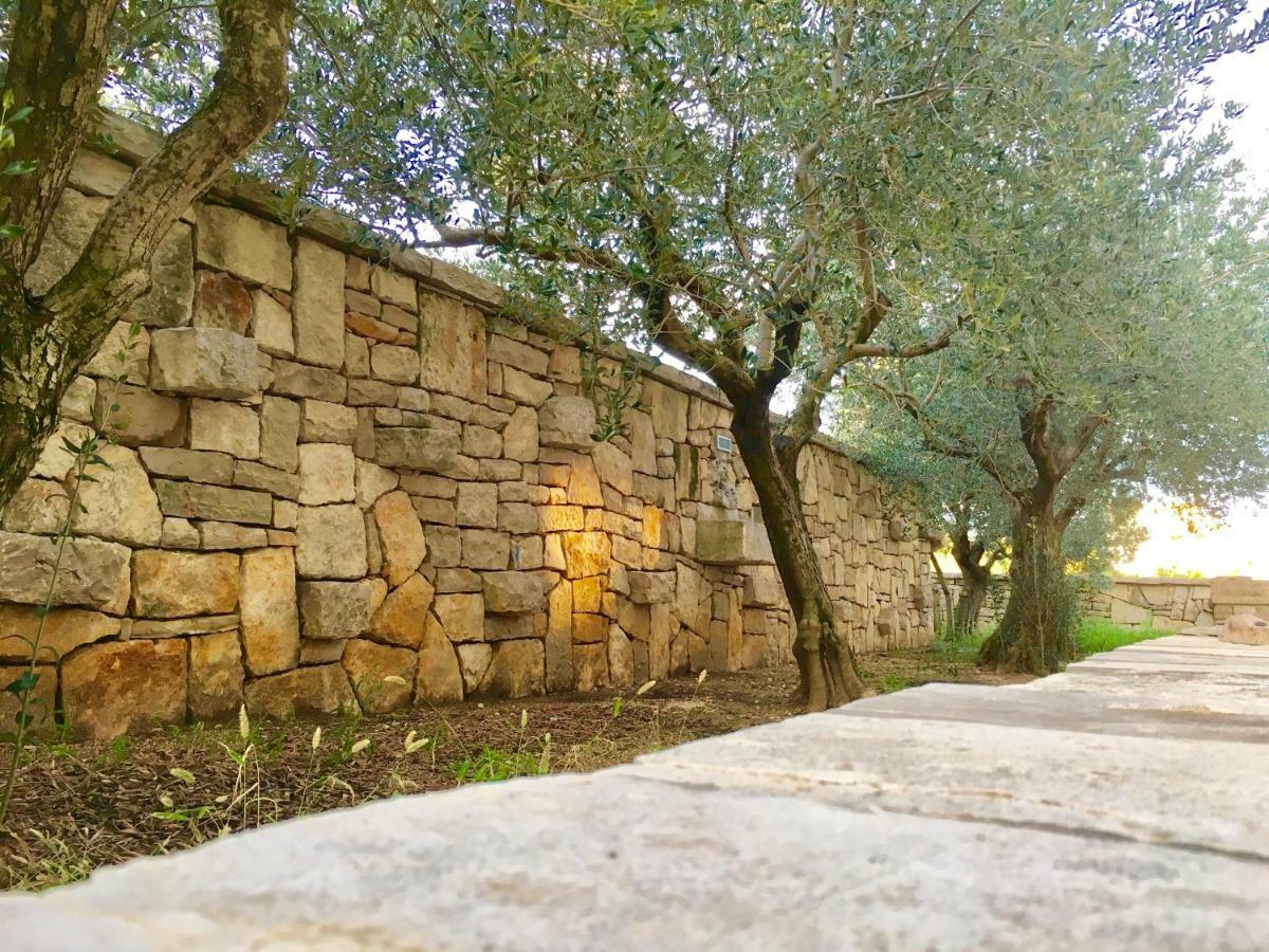 Lavender House Daire Maslenica Dış mekan fotoğraf