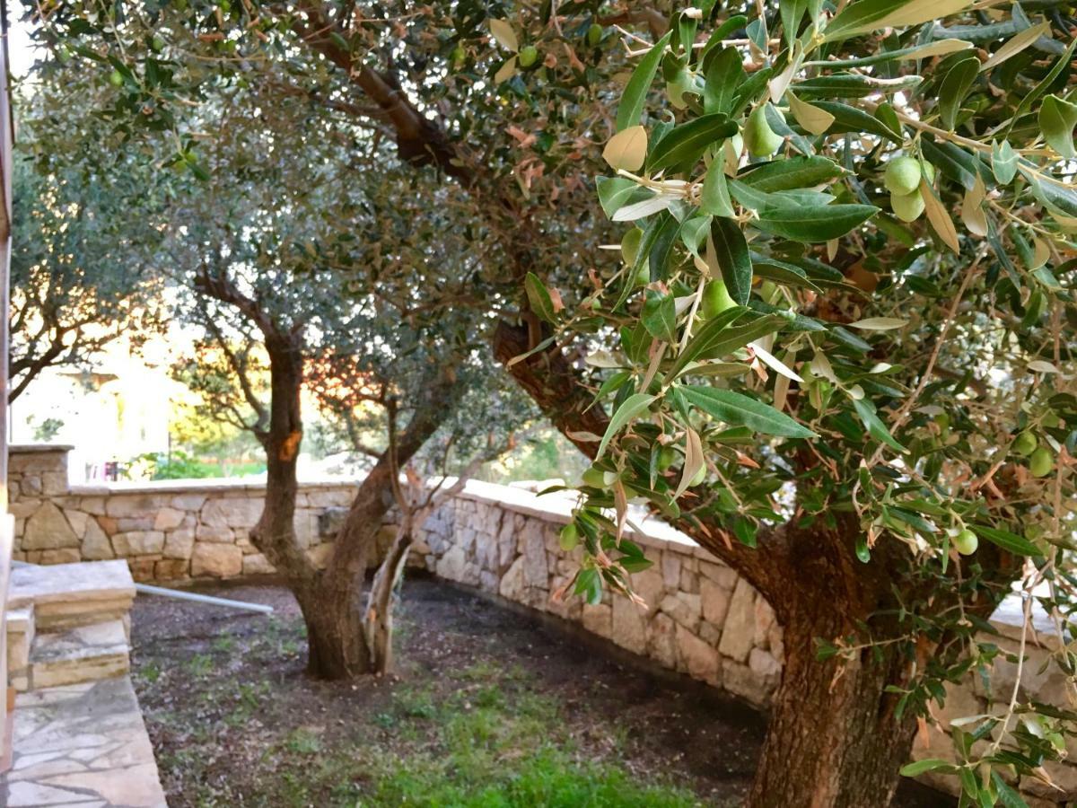 Lavender House Daire Maslenica Dış mekan fotoğraf